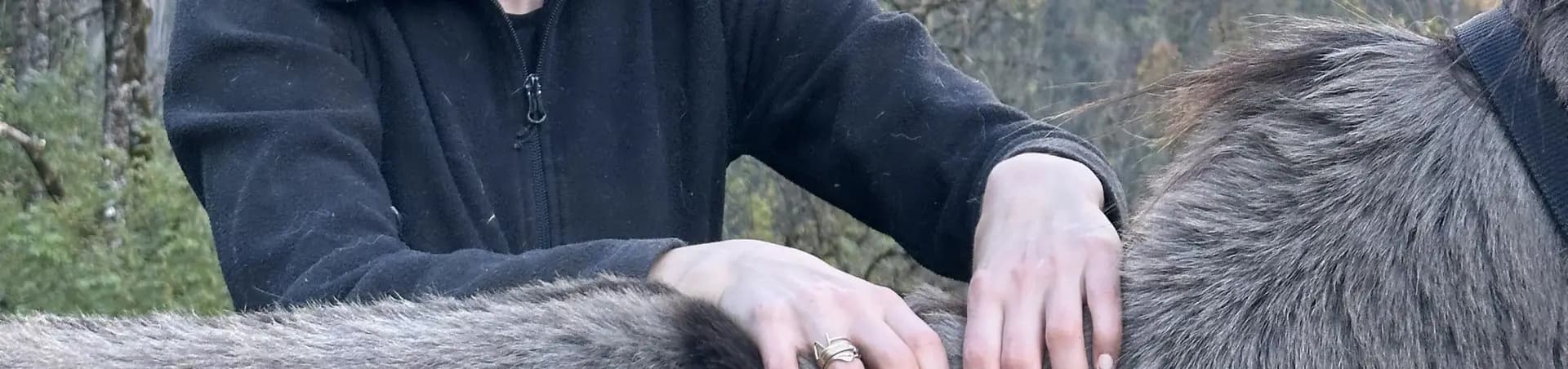 Ostéopathie animale à Grenoble - Soins pour chiens, chats et chevaux